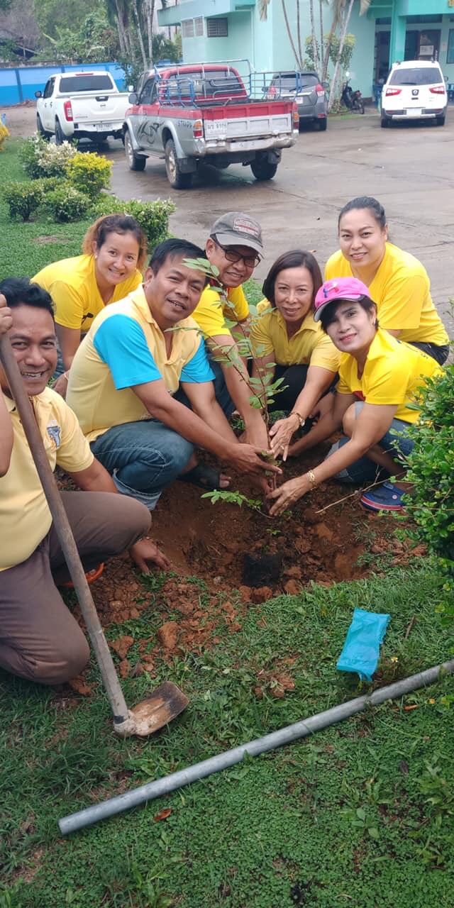 นายมิตร บุญชุม สาธารณสุขอำเภอพนม และเจ้าหน้าที่สาธารณสุข ร่วมปลูกต้นรวงผึ้ง ต้นไม้ประจำรัชกาลที่ ๑๐ ณ สำนักงานสาธารณสุขอำเภอพนม. ในวันพืชมงคล