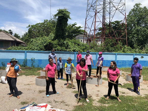 ครอบครัวสาสุขพนม เริ่มสร้างสถานที่ทำงานสีเขียว “ปลูกสิ่งที่จะกิน กินสิ่งที่ปลูก” ตามแผนการสร้างสุข  คุณธรรมจริยธรรม  ลดรายจ่าย  เน้นกินผัก  สุขใจกับต้นไม้ ใช้เวลาว่างให้เกิดประโยชน์